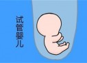 乌鲁木齐代怀孕初期孕酮值为13ngml，医生说偏低，那正常值是多